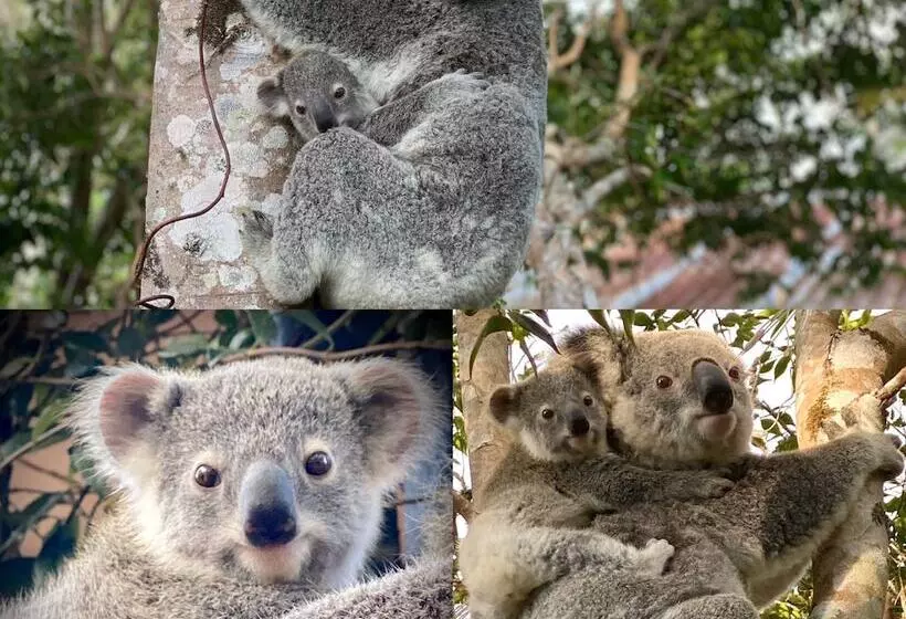 Whispering Valley Cottage Retreat