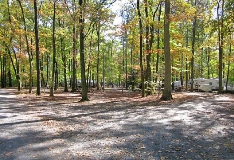 Отель Appalachian Campsites