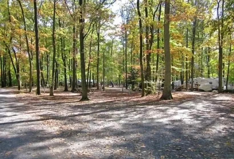 Hotelli Appalachian Campsites