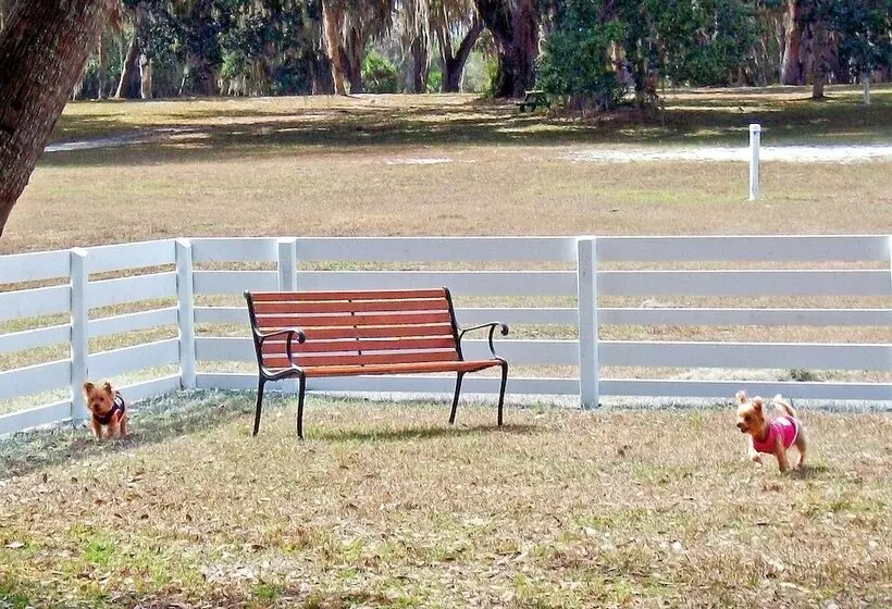 Hotelli Bulow Cottage 25