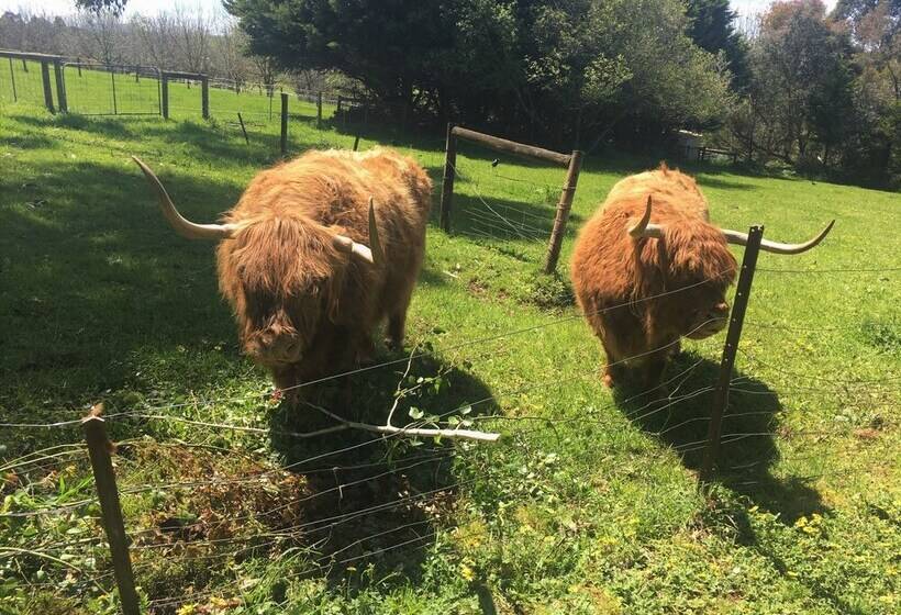 Neerim Country Cottages
