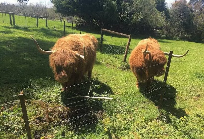 Neerim Country Cottages