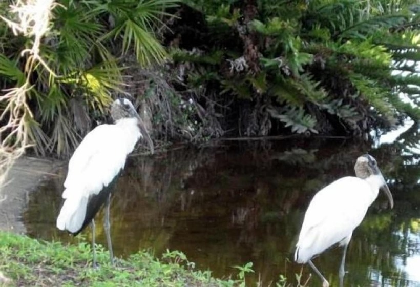 Ramblers Rest Rv Campground