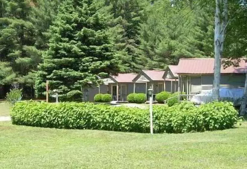 Pine Tree Motel & Cabins
