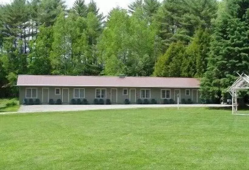 Pine Tree Motel & Cabins