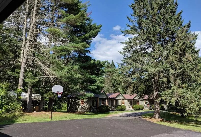 Pine Tree Motel & Cabins