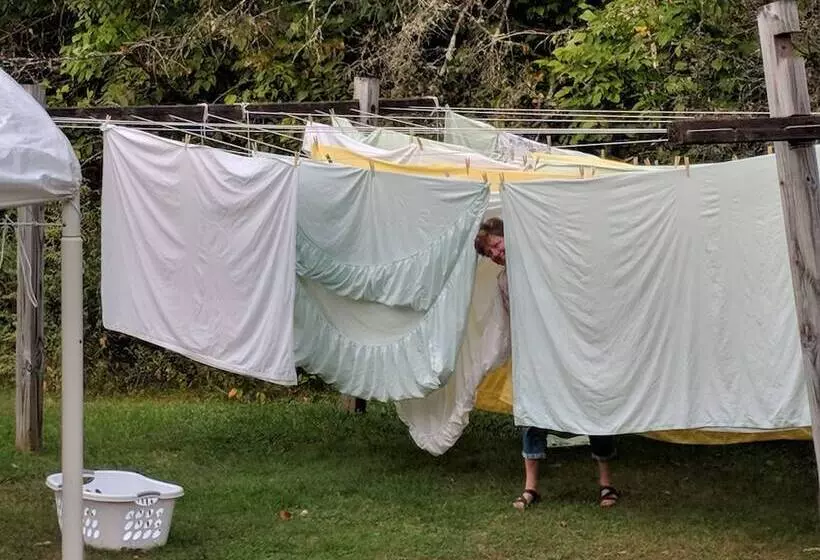 Pine Tree Motel & Cabins