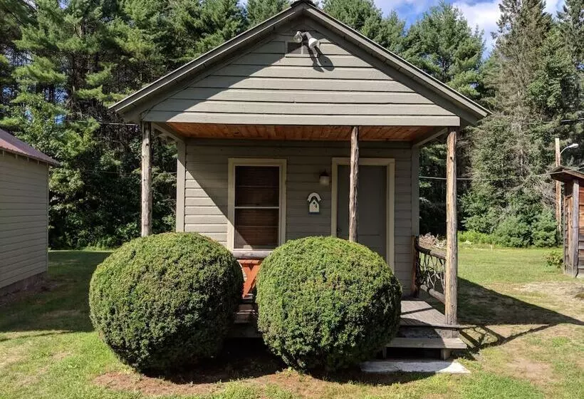 Pine Tree Motel & Cabins
