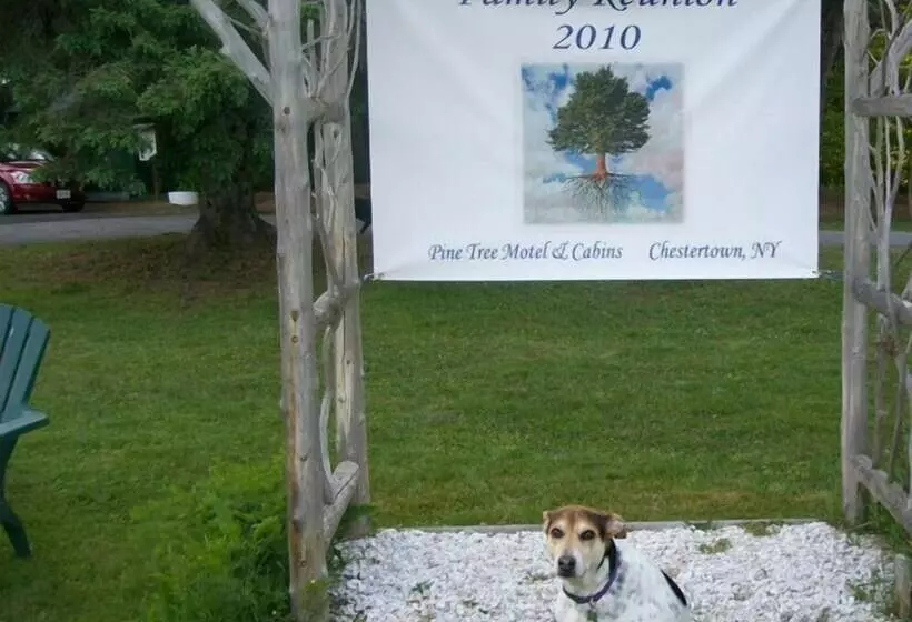 Pine Tree Motel & Cabins