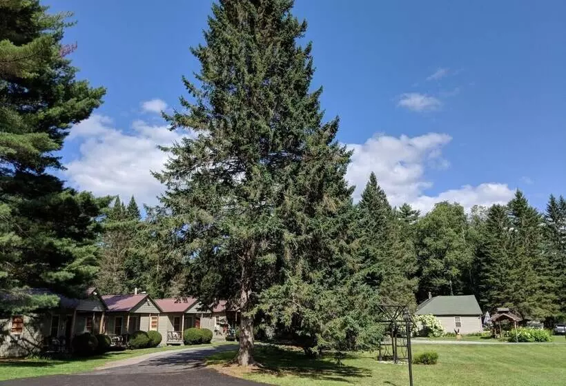 Pine Tree Motel & Cabins