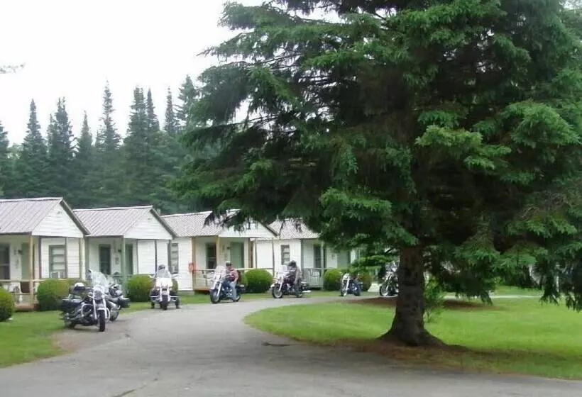 Pine Tree Motel & Cabins