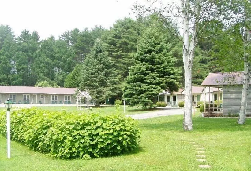 Pine Tree Motel & Cabins