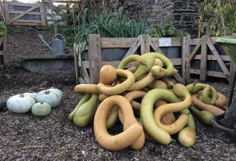 Majatalo Frizenham Farmhouse