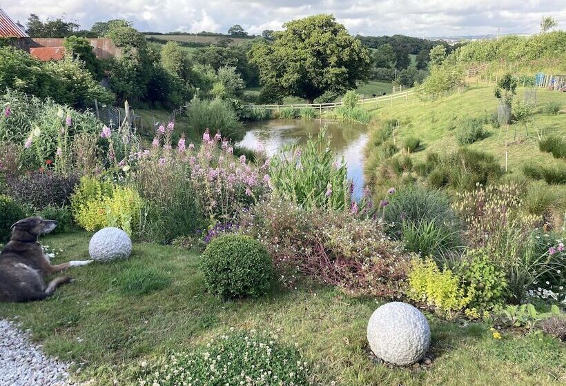 Пансион Frizenham Farmhouse