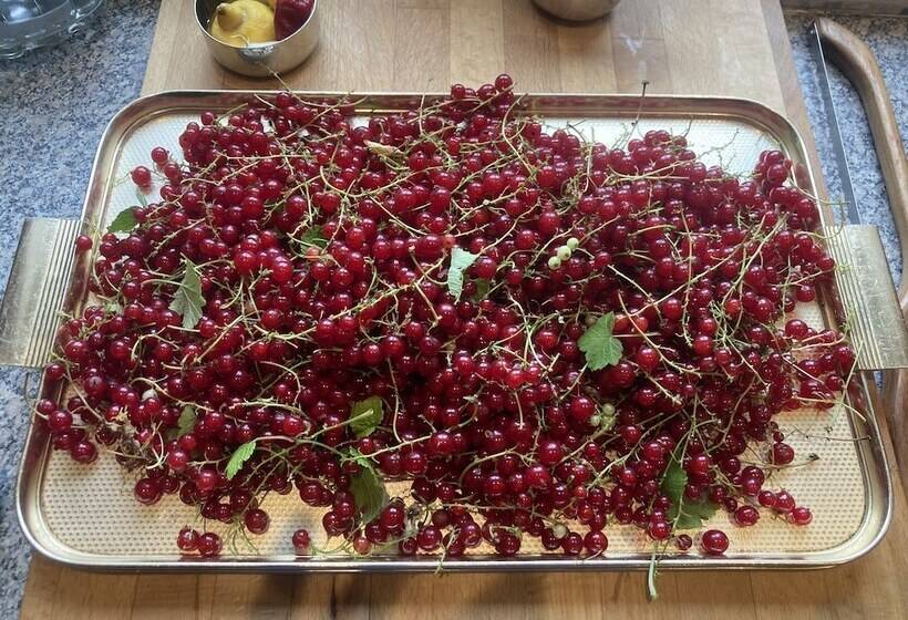 بنسيون Frizenham Farmhouse