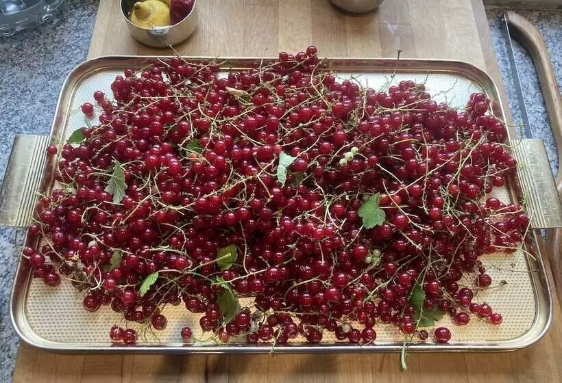 Majatalo Frizenham Farmhouse