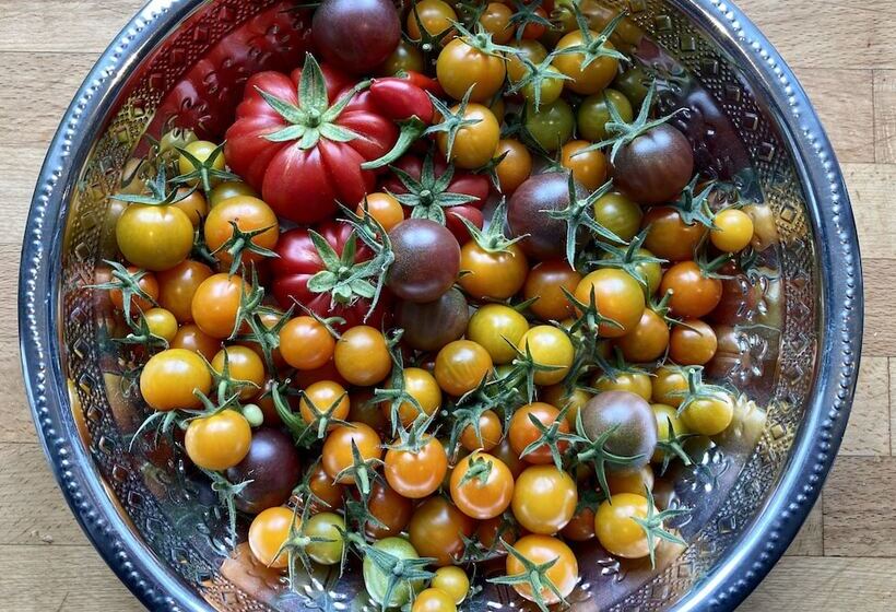 פנסיון Frizenham Farmhouse