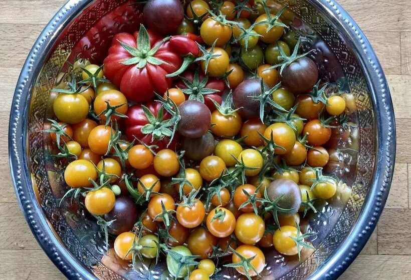 Majatalo Frizenham Farmhouse