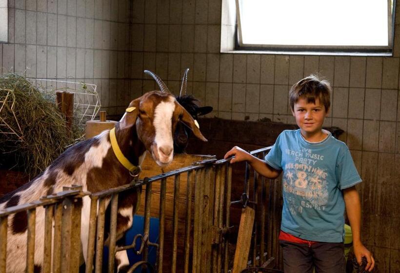 ベッドアンドブレックファースト Pension Koch