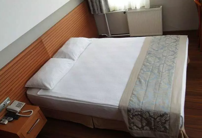 هتل Carikci