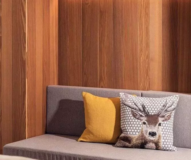 酒店 Conrad's Mountain Lodge