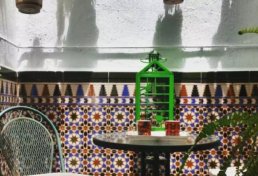 هتل Hostal Berlin