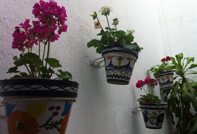 Отель Hostal Berlin