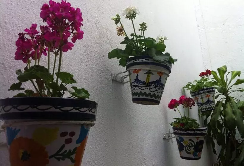 هتل Hostal Berlin