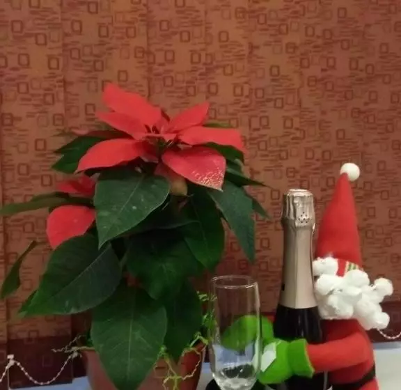 Hotelli Kurskaya 10 Mini