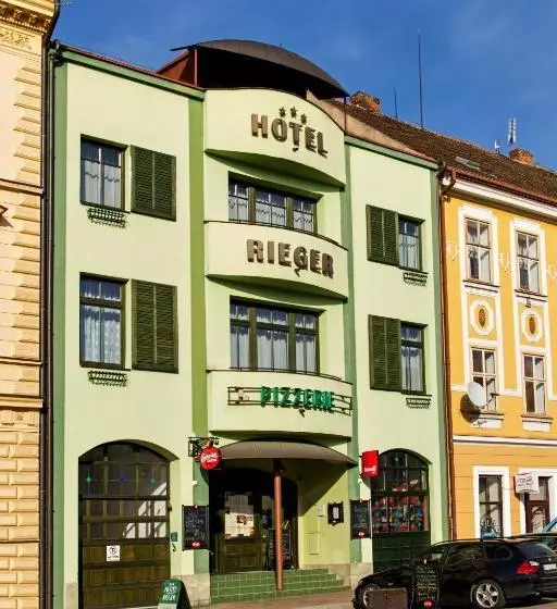 Отель Rieger Garni