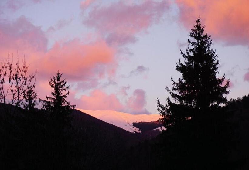 Отель Vila Arizto