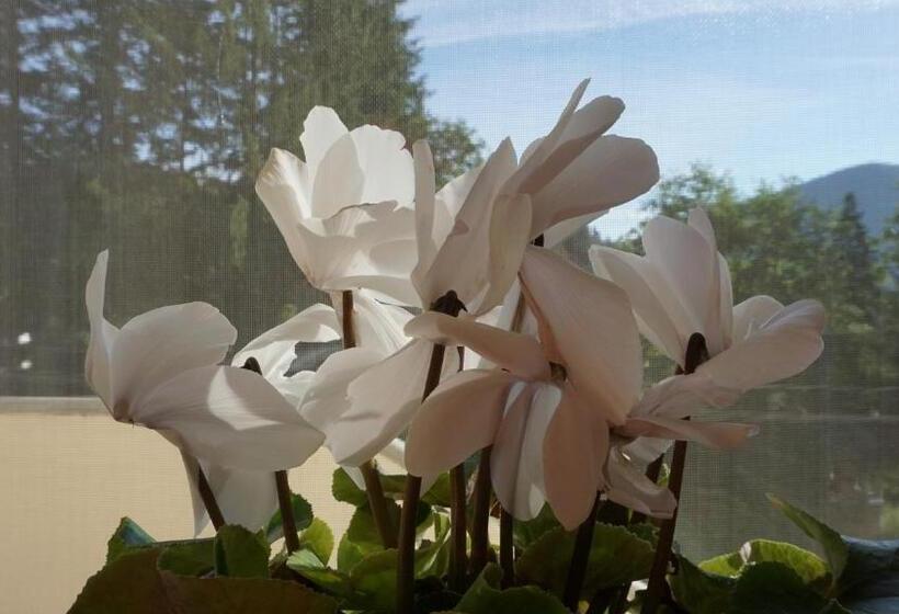 Отель Vila Arizto