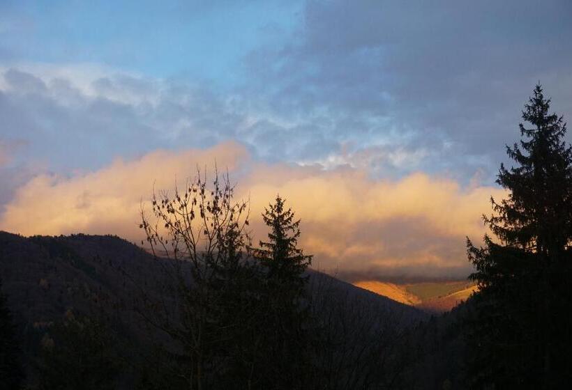 Отель Vila Arizto