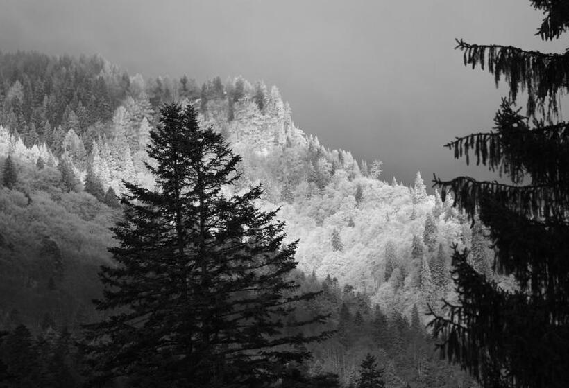 Отель Vila Arizto