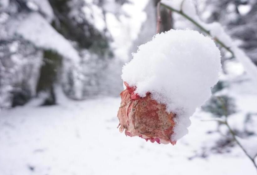 Отель Vila Arizto