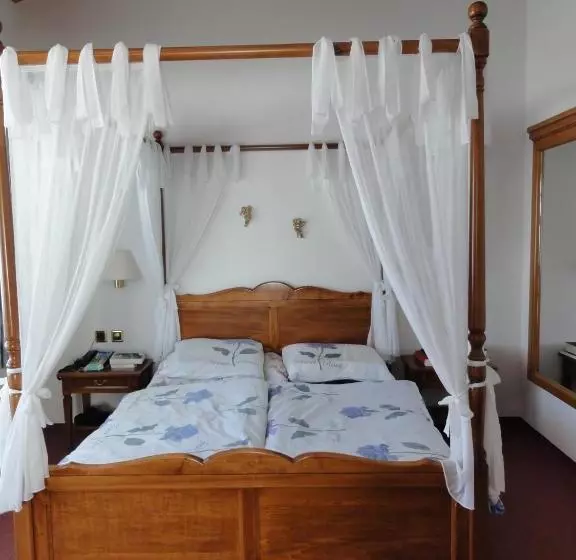 膳宿费 Gasthof Panorama