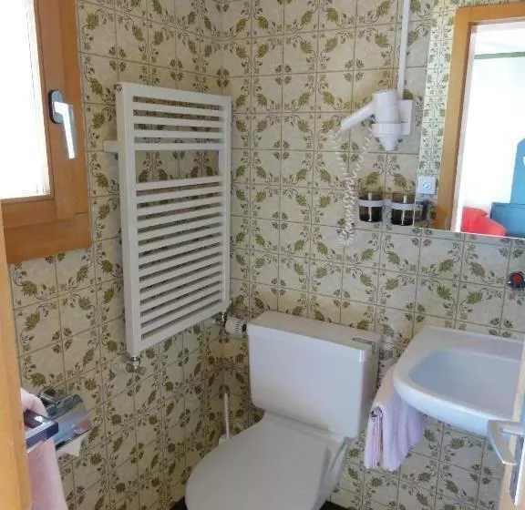 膳宿费 Gasthof Panorama