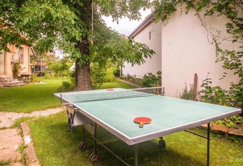 Pensiunea La Despani