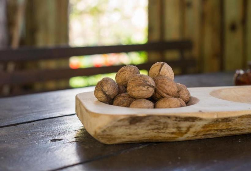 Pensiunea La Despani