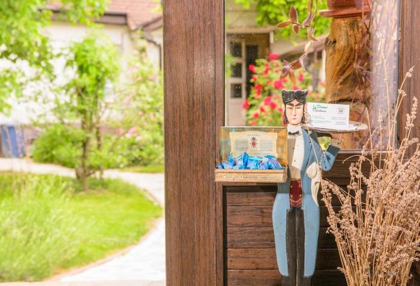 Pensiunea La Despani