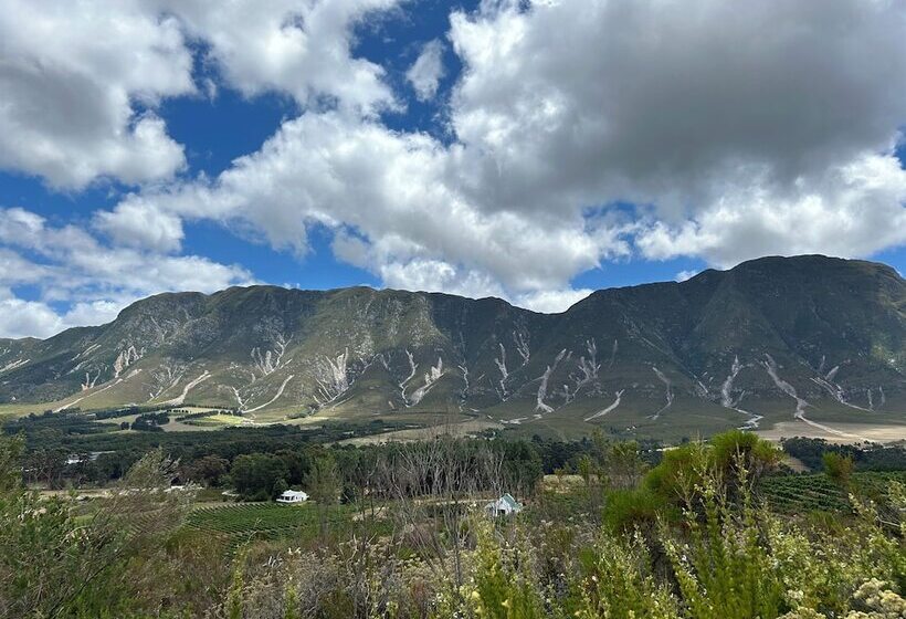 פנסיון Sixteen Guest House On Main