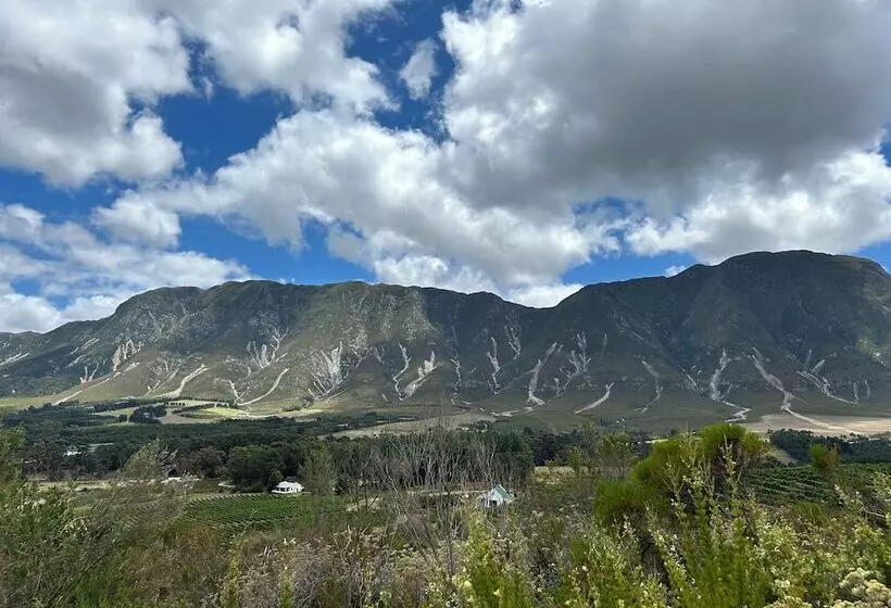 פנסיון Sixteen Guest House On Main