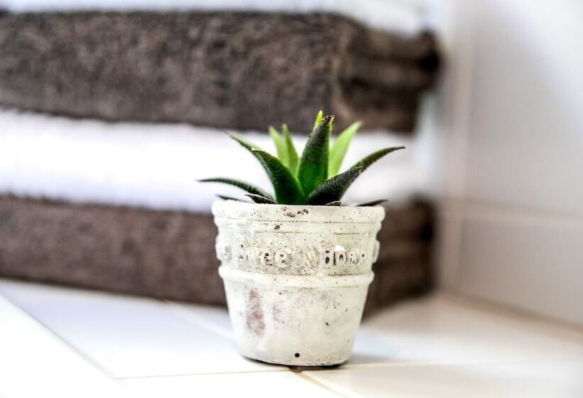 פנסיון Sixteen Guest House On Main