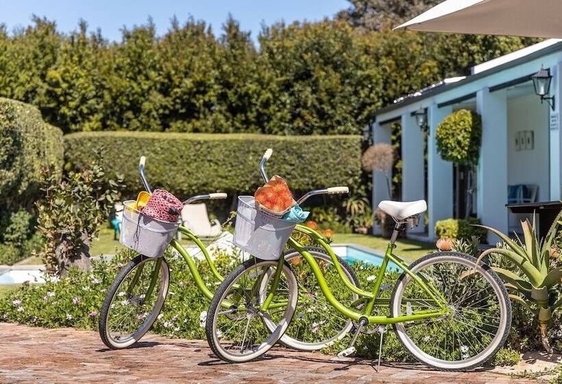 פנסיון Sixteen Guest House On Main