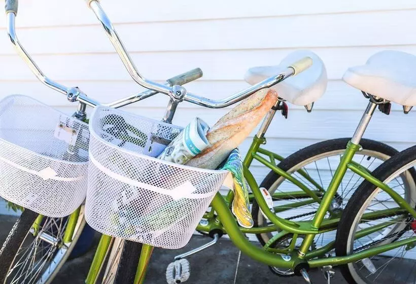 פנסיון Sixteen Guest House On Main