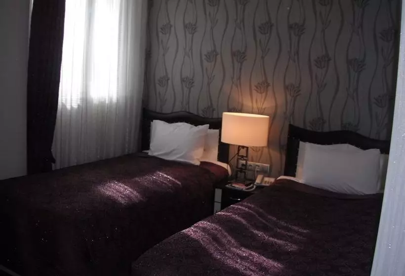 ホテル Ankara Risiss