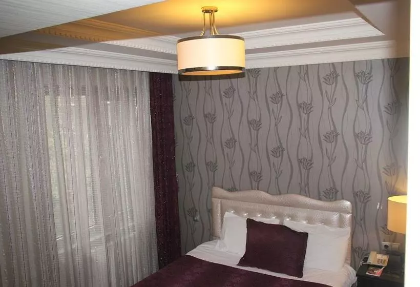 ホテル Ankara Risiss