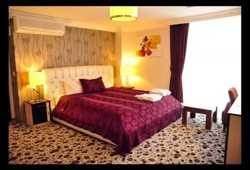 ホテル Ankara Risiss