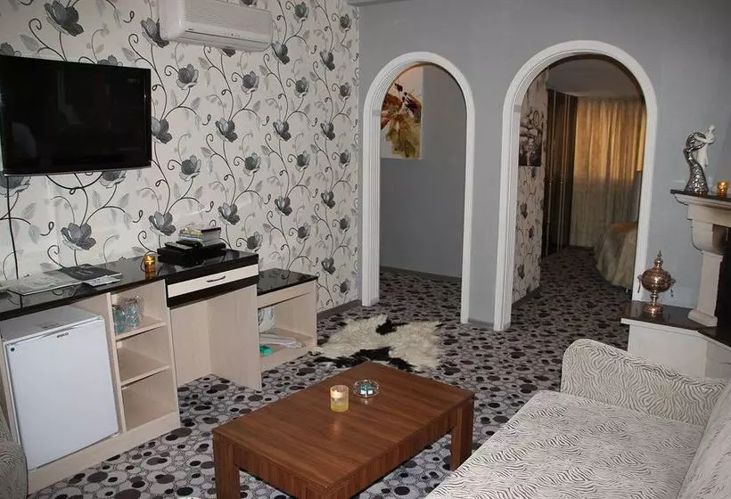 ホテル Ankara Risiss