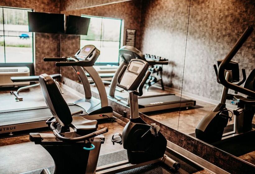 Cobblestone Hotel & Suites   International Falls